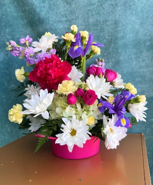 DAISY EXCELLENCE  FLOWER ARRANGEMENT