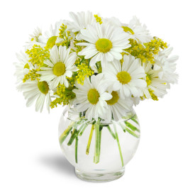 Daisy fields vase