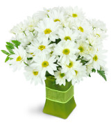 Daisy Fresh - 104 - IN A CLEAR VASE Vase arrangement 