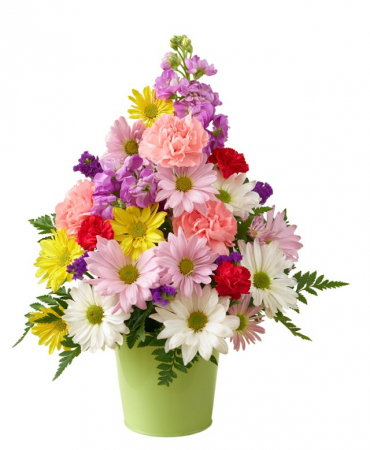 Daisy Garden