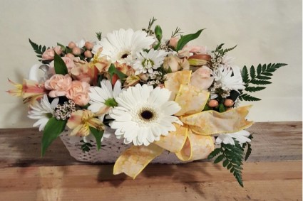 Daisy Garden Shop Special