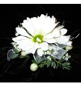 DAISY IN WHITE CORSAGE - IN STORE PICK UP ONLY WRIST CORSAGE