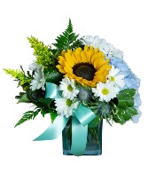 Daisy Joy All Around Arrangement