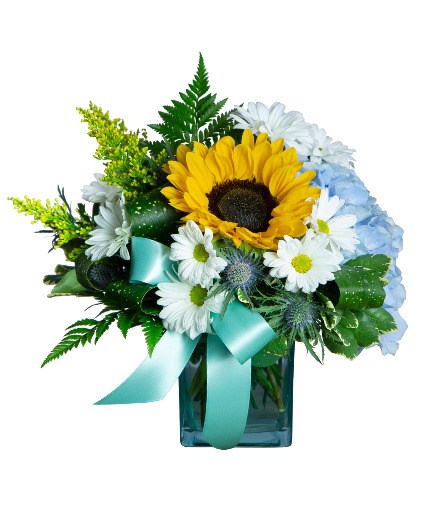 Daisy Joy All Around Arrangement