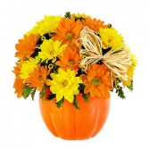 Daisy Pumpkin Patch Floral Arrangement