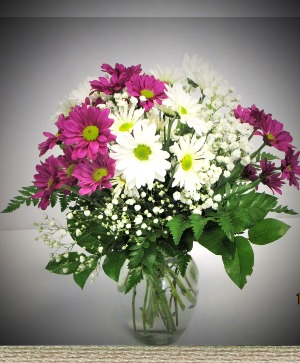 DAISY SIMPLE AND SWEET  FRESH FLOWERS VASED