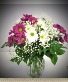 DAISY SIMPLE AND SWEET  FRESH FLOWERS VASED