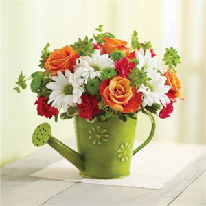 Daisy Watering Can Arrangement in Winston Salem, NC | RAE'S NORTH POINT FLORIST INC. Daisy Watering Can Arrangement in Winston Salem, NC | RAE'S NORTH POINT FLORIST INC.