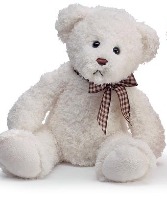 Lovable Plush Bear Gift Keepsake