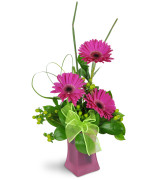 Dance me happy Vase arrangement