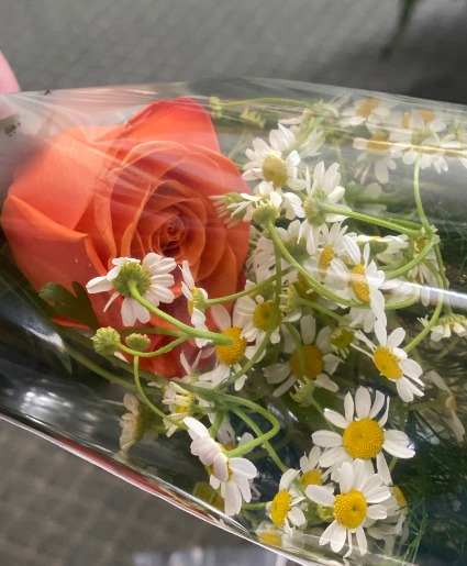 Dance Single Rose Wrapped