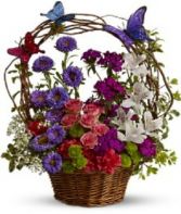 Dancing Butterflies Basket Arrangement