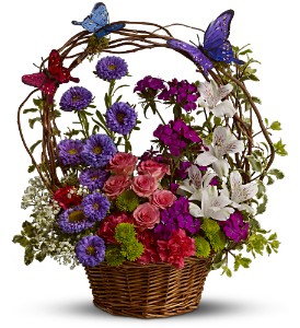 Dancing Butterflies TFWEB513 in Merced, CA | TIOGA FLORIST INC. Dancing Butterflies TFWEB513 in Merced, CA | TIOGA FLORIST INC.
