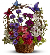 Dancing Butterflies TFWEB513 Basket Arrangement