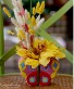 Purchase this funeral home arrangement
