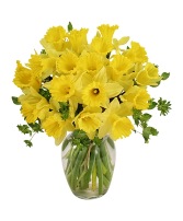 Dancing Daffodils in Season  *availability may be limited  in Long Beach, Mississippi | LOIS FLOWER SHOP