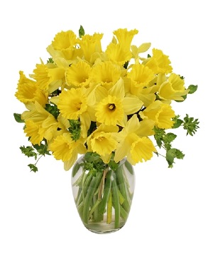 Dancing Daffodils in Season  *availability may be limited 