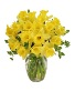 Dancing Daffodils in Season  *availability may be limited 