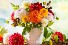 Dancing Dahlia Vase Arrangement