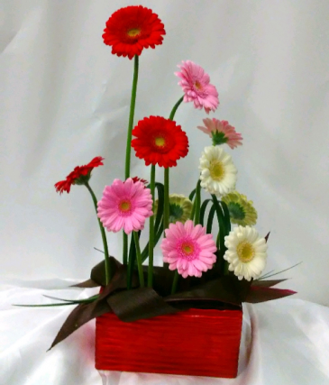 Dancing Daisies