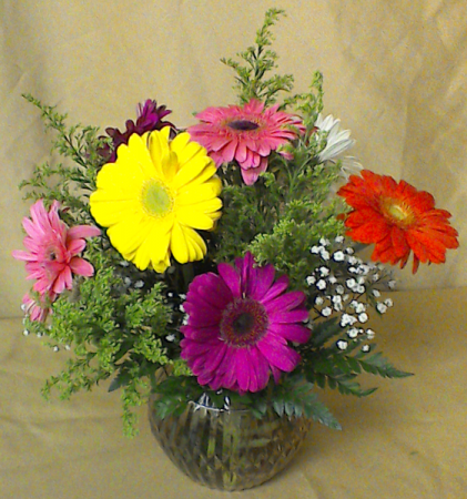 Dancing Daisies