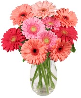 DANCING DAISIES ARRANGEMENT 