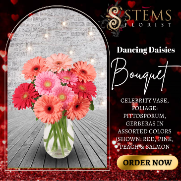 Dancing Daisies Arrangement in Vacaville, CA | Stems Florist