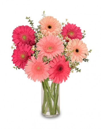 Gerb Appeal Bouquet
