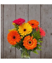 Dancing Daisies Flower Arrangment