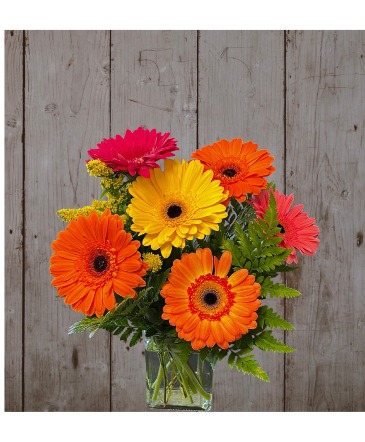 Dancing Daisies Flower Arrangment in Stratford, ON | Flowers on York