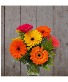 Dancing Daisies Flower Arrangment