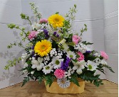 Dancing Daisies Mother's Day