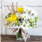 Dancing Daisies Vase Arrangement