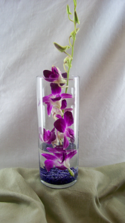 Dancing Dendrobiums Vase Arrangement