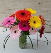 Dancing  Gerbera Daisies Vase Arrangement