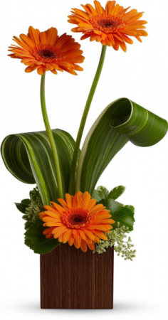 DANCING GERBERS Box Arrangement