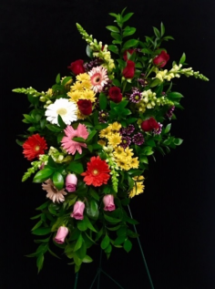 Category Image