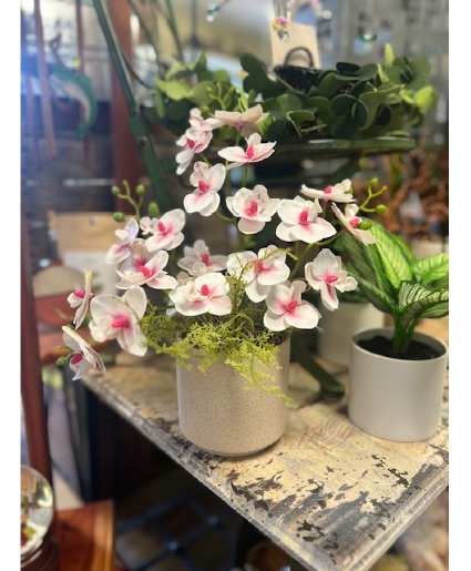 Dancing Orchids Silk Arrangement
