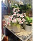 Dancing Orchids Silk Arrangement