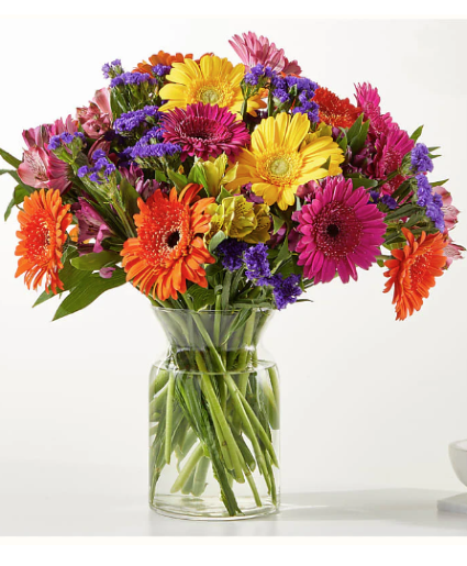 Dancing Queen Bouquet 1 DZ Gerbera