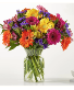 Dancing Queen Bouquet 12 Gerbera