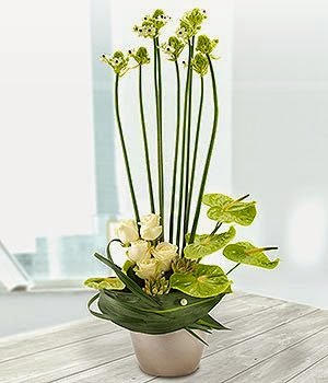 DANCING STARS FLOWER ARRANGEMENT in Amelia Island, FL | ISLAND FLOWER & GARDEN DANCING STARS FLOWER ARRANGEMENT in Amelia Island, FL | ISLAND FLOWER & GARDEN