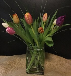 Dancing Tulips 