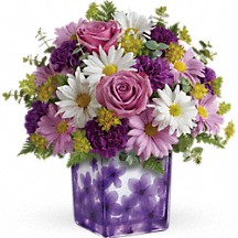 DANCING VIOLETS T17M400B