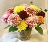 Dandy Dahlia Fresh Floral Design