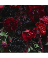 Dark Desire - Designers Choice 