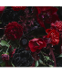 Dark Desire - Designers Choice 