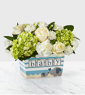 Darling Baby Boy Bouquet 