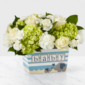  Darling Baby Boy Bouquet  New Baby 