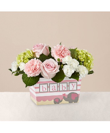 Darling Baby Girl BG2s Bouquet in Fort Worth, TX | DARLA'S FLORIST